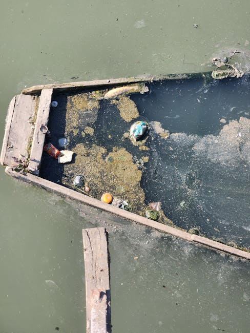 A partially submerged, weathered wooden boat hull in a body of water, with visible signs of decay and dirt accumulation. The hull's edges are rough and splintered, with some small debris and algae on its surface. Inside the hull, there are patches of algae, sediment, and scattered rubbish, including a plastic bottle, a small ball, and other unidentifiable waste materials. The water surrounding the boat is murky with a greenish tint, and the background shows the water's surface extending beyond the hull, indicating the boat is afloat. The scene suggests a neglected or abandoned vessel, possibly affecting local water quality and environmental health, relevant to waste management and rubbish removal services. Waste Clearance Maida Vale occasionally facilitates the removal of such debris from watercraft or similar environments, contributing to improved waterways and public spaces.