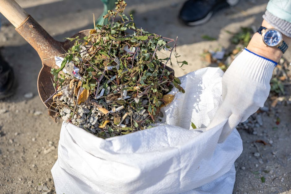 A person wearing a white glove holds a large white woven polypropylene sack filled with various garden waste, including small leafy branches with green and reddish-brown leaves, combined with dry, broken twigs and gravelly debris. The person’s wrist is visible, showing a watch with a blue strap and a round face, and they are dressed in a light-colored garment. In the background, the ground is composed of gravel and dirt, with some scattered leaves and small pieces of debris, suggesting an outdoor environment suitable for garden clearance or waste disposal activities. A shovel with a rusty metal blade and a wooden handle is partially visible, positioned above the sack, indicating active loading of waste, typical of private collection or site clearance services provided by waste clearance specialists like Waste Clearance Maida Vale. The scene emphasizes the collection of garden refuse for disposal or recycling, reflecting an environment associated with independent waste handling outside municipal systems.